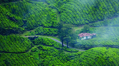 central government help to kerala tourism