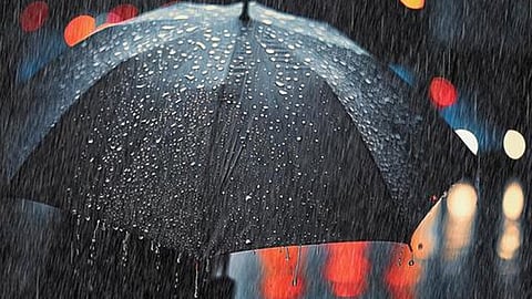 Rains intensify; Orange alert in two districts, Yellow alert in 12 districts