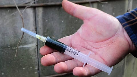 Sheep infected with rabies were killed by injection