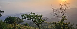 സിനിമയുടെ പുതിയ ഹൃദയഭൂമി | MP set to be Indian cinema's new heart land