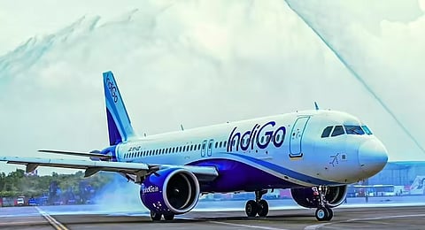 indigo appointed new domestic conmmittee