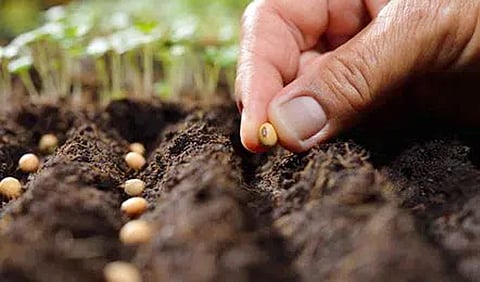  Self-reliance  seed sector crucial initiative BBSSL