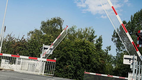 Violation of the law at level crossings; license will be revoked