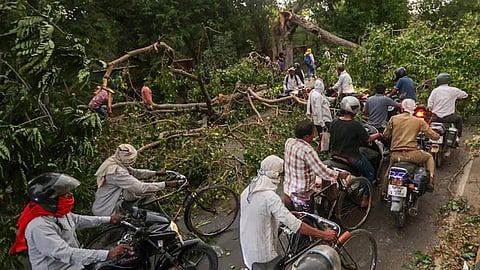 100 killed as storm, rain batter UP