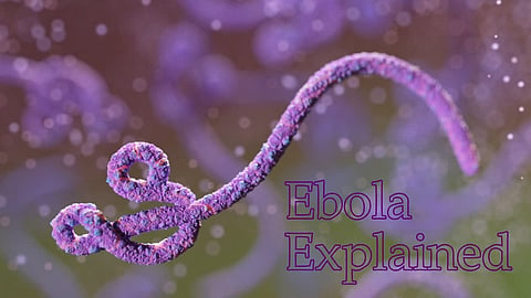  Ebola: India-African Union summit postponed