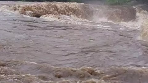 Heavy rains; Temporary bridge in Kozhikode washed away