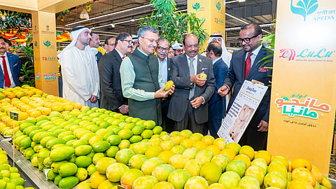 lulu mango fest