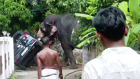 elephant attack thrissur