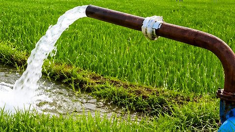 Two documents are enough for electricity connection to farming