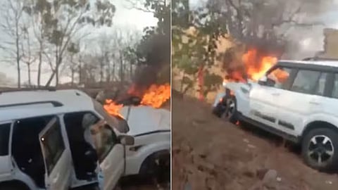 Trying To Save Cow, Narrow Escape For Madhya Pradesh MLA After SUV Hits Wall 