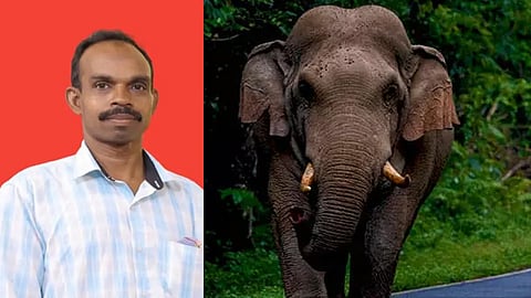 Elephant Attack in Vellar: Youth Killed