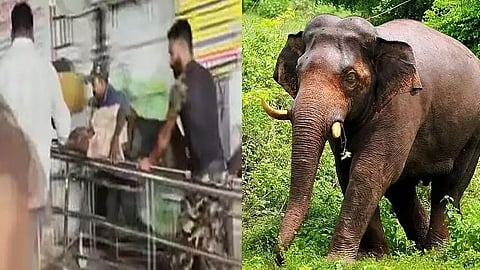 wayanad wild elephant attack financial aid to family of the deceased