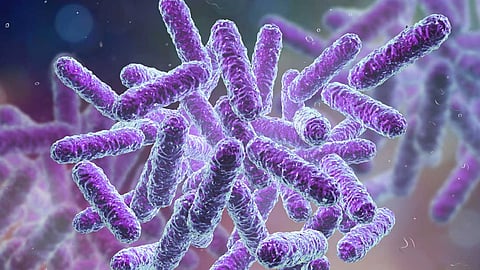 shigella reported in thiruvananthapuram