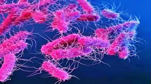  Don't be complacent, in epidemic prevention