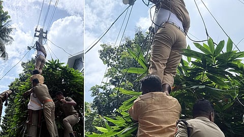 Lineman fainted after climbing post; Fire Force pulls him down