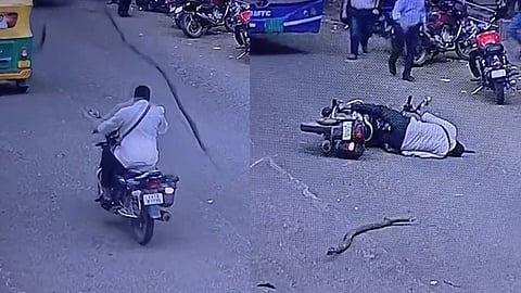tree branch fell on the head while riding without a helmet; the passenger is in a coma