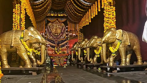 High Court orders examination of the body of the Ezharaponna elephant at Ettumanoor