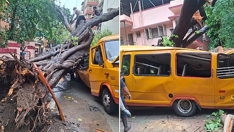 Tree falls on school bus in Mumbai