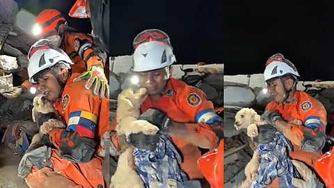 Venezuela Quake: Dog Jesella Rescued After Five Days Under Rubble