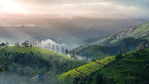 avoid-travel-to-munnar-collector-issues-advisory