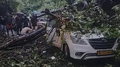 Tree falls onto a car on the Thamarassery Ghat Road