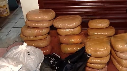 major-drug-bust-in-angamaly-110-kg-cannabis-seized-from-odisha-residents