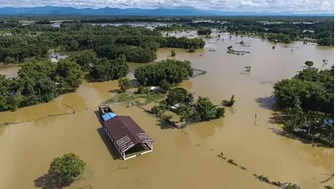 assam flood death toll updates