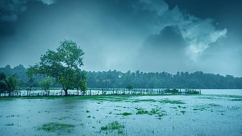 kerala rain red alert in 3 districts