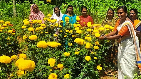 kudumbashrees onam market 11 crore earned from sales of flowers and vegetables 