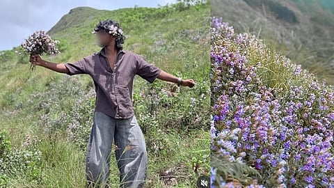 
Neelakurinji plucked; legal action against a young man, investigation against others