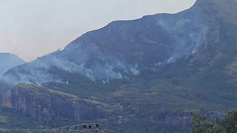marayur neelakurinji wildfire