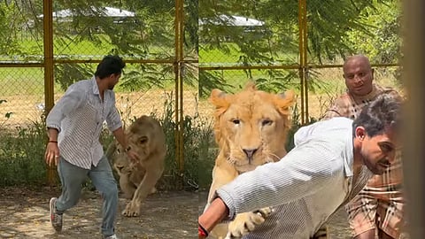 actor kiran raj about lion attack