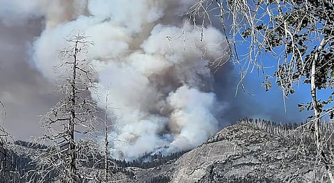 Two pilots die in California plane crash