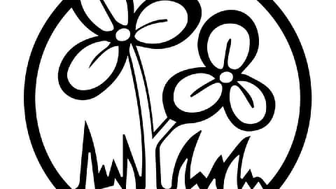 Supreme Court asks Election Commission to decide on the dispute regarding the Trinamool symbol.