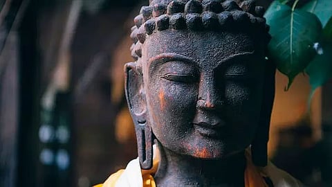 The Pragmatic Buddha