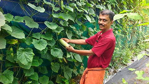 From school to the vegetable garden: Teacher Sanu sets an example