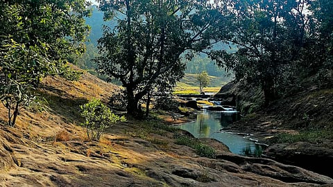 A View from tamia, Madhya Pradesh