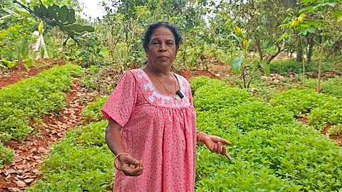 Ruby Teacher at her farm