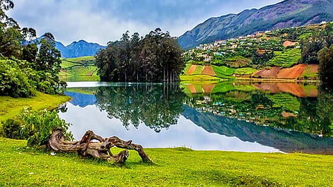 Explore Kodaikanal with ease; Tamil Nadu introduces online booking