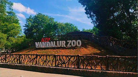 Bird flu: Chennai zoo closed for two days