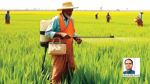 Rewriting India's agricultural history