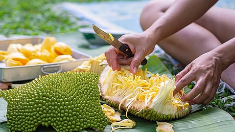 jackfruit peel used to purify wastewater