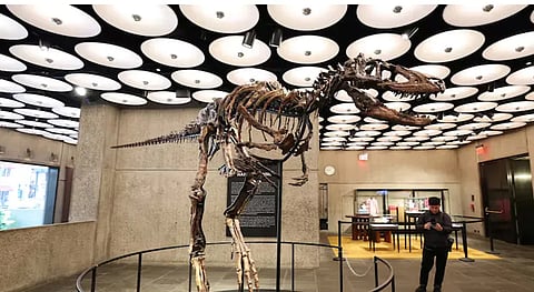 Nano Tyrannosaurus fossil sold for $47.3 million