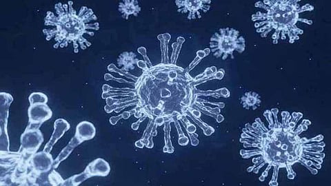 Covid virus