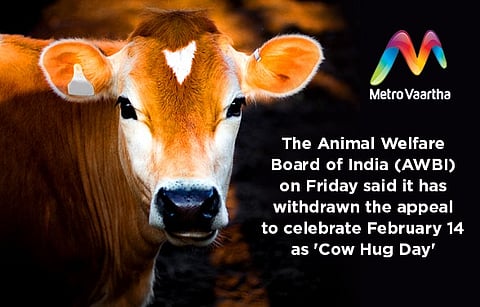 Animal Welfare Board withdraws appeal to celebrate Feb 14 as 'Cow Hug Day'
