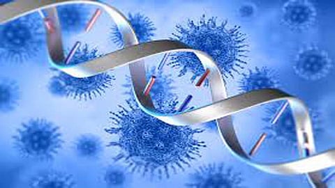 Covid virus