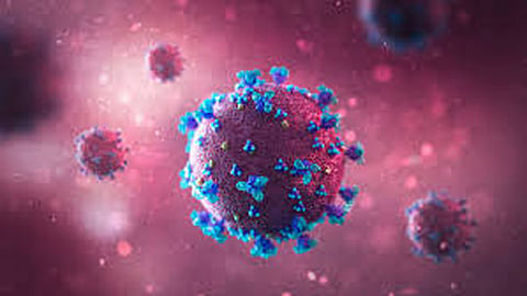 India reports more than 10,000 new Covid case