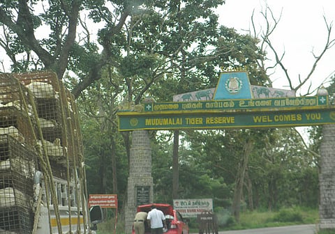 Tight security cover for PM's visit to Mudumalai Tiger Reserve in TN on Apr 9