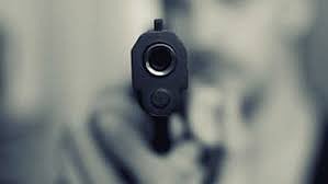 Gun