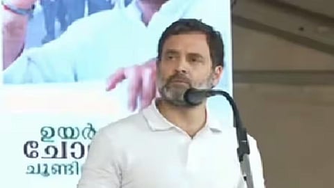 Taking away MP tag won't stop me from representing people of Wayanad: Rahul Gandhi